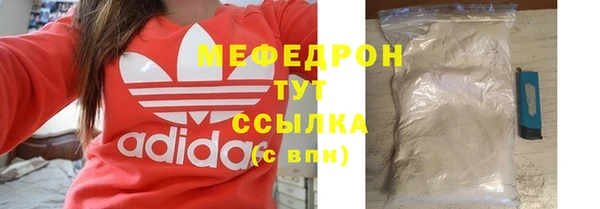 хмурый Пересвет