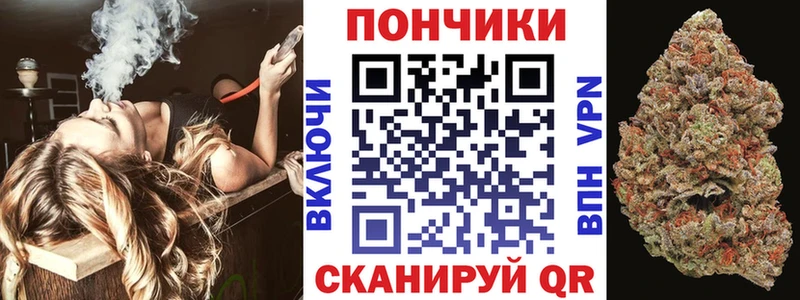 Каннабис сатива Киренск